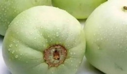 体育圈的瓜是什么意思.临朐网红大玲子事件,临朐网红大玲子事件引发全网关注